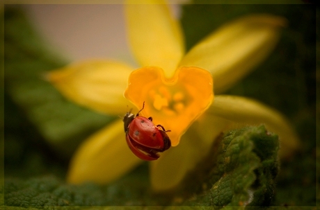 Getroffen midden in het hart
