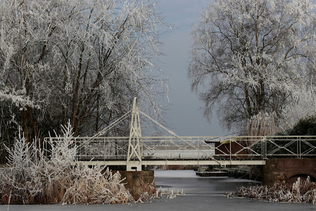 Witte winter wereld