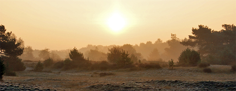 Misty landscapes