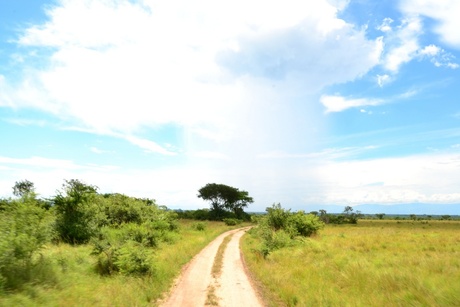 Regenbui in Uganda