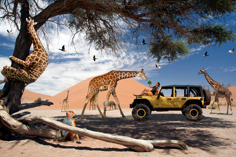 Afrika safari life
