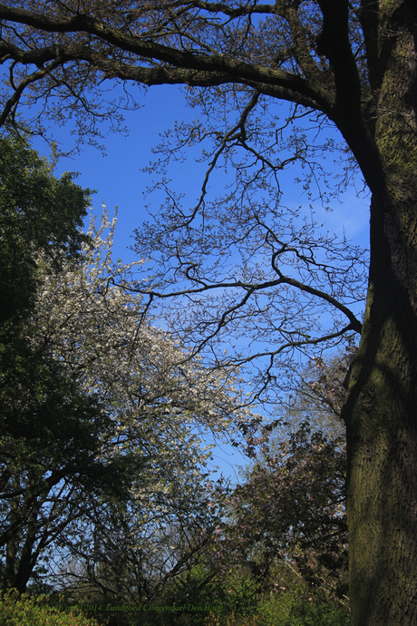 Landgoed Clingendael Den Haag