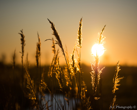 Zonnige zonsondergang