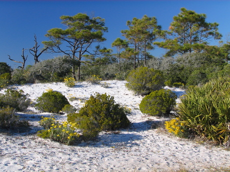 St. Andrews State Park