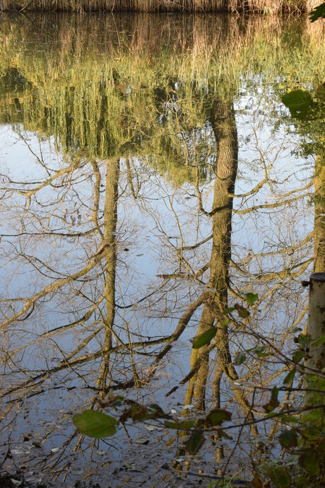 Weerspiegeling