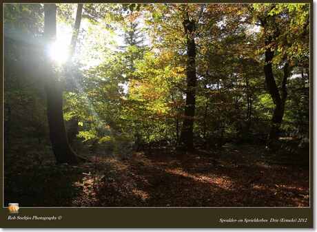 Speulder- en Sprielderbos Drie (Ermelo) 2012