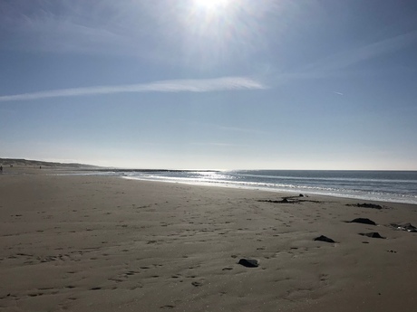 Strandslag Duinoord - voorjaarszon