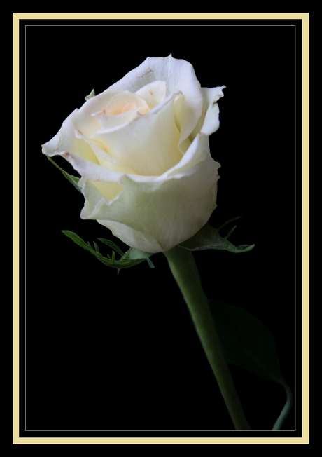 Ik geef je een......