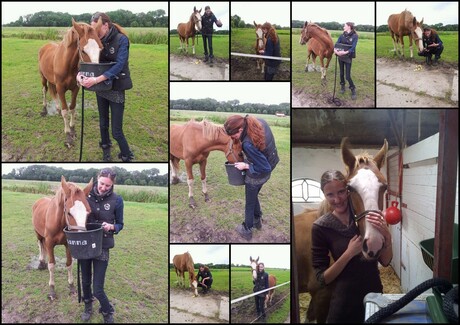 Collage me paard en ik