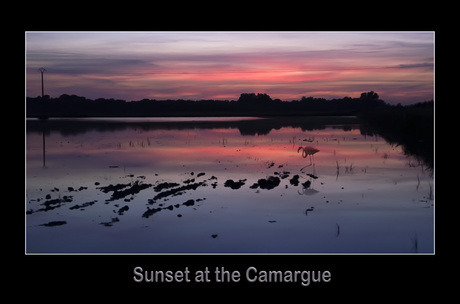 Sunset at the Camargue
