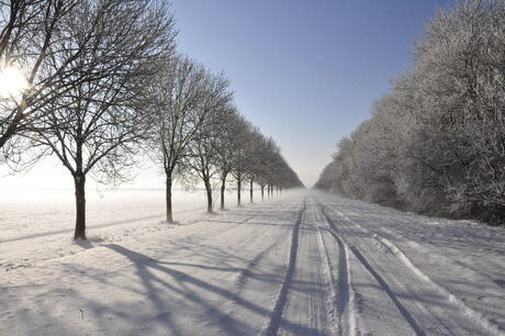 Flevoland 3 januari 2010
