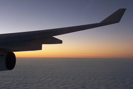 Sunset on a wing