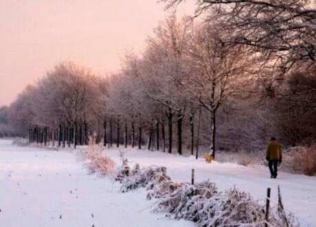 Ochtendwandeling in de polder