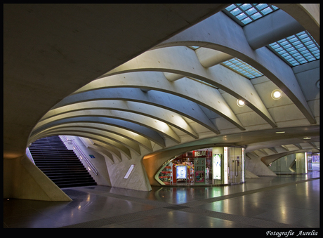 Station Luik 9