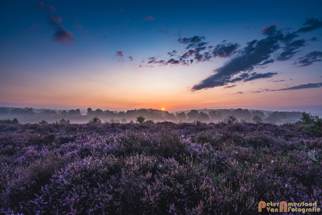 2017-08-16 Posbank Zonsopkomst-03