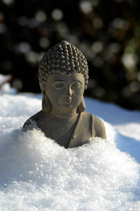 Snowy Buddha