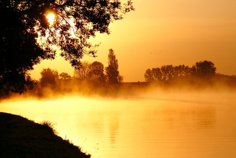 Ochtendgloren over de damse Rijn