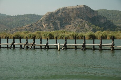 Dalyan 5