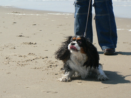 Zand en zee