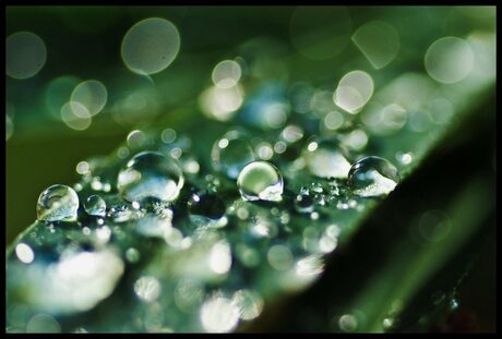 Waterdrops Bokeh