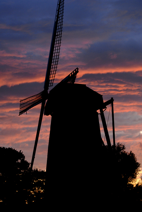 MOLEN te Lokeren