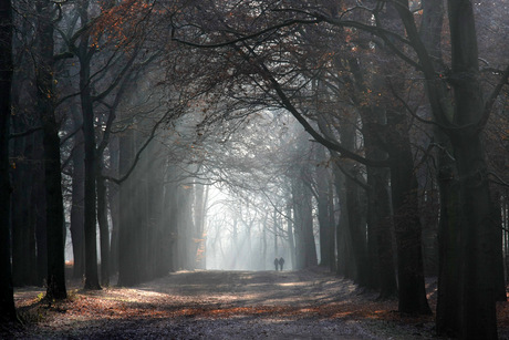 Lage Vuursche Nederland