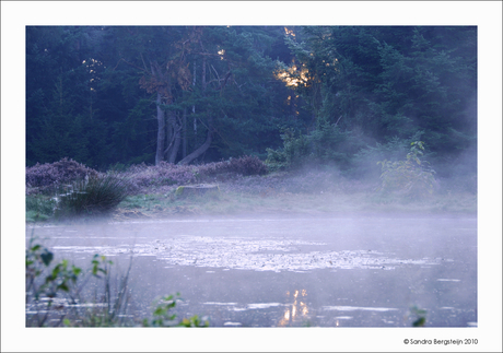 Misty morning