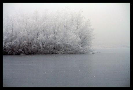 Oostvaarderswinterland in de mist