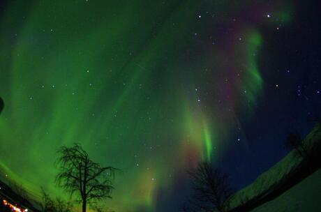 Aurora Borealis in Nikkaluokta.jpg