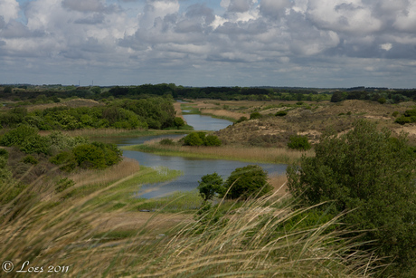 Amsterdamse Waterleiding Duinen