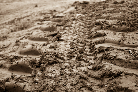 Muddy track