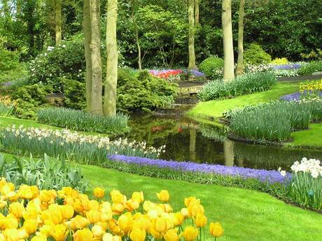 Keukenhof 2005