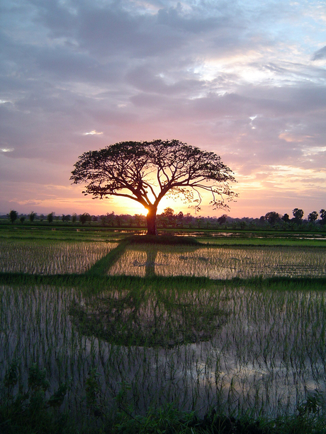 near sunset