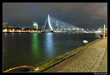 Rotterdam Skyline (2)