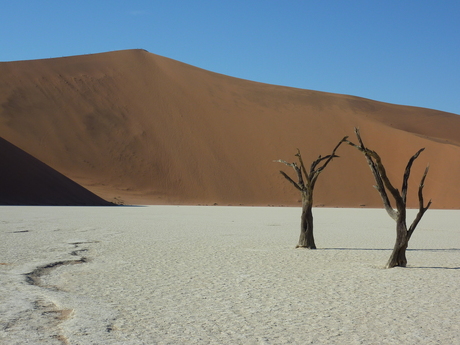 Deadvlei, Namibie