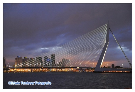 Erasmusbrug, Rotterdam by night