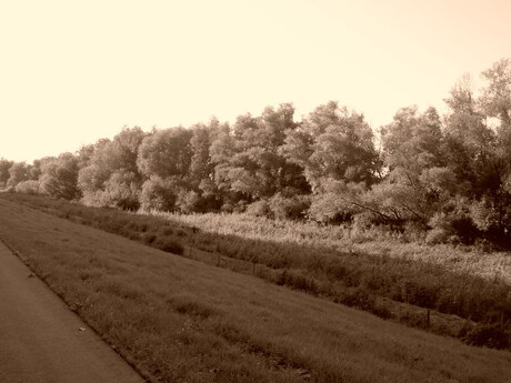 lijnenspel Buitendijk