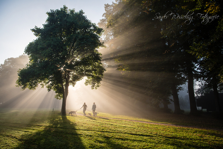 Autumn morning light