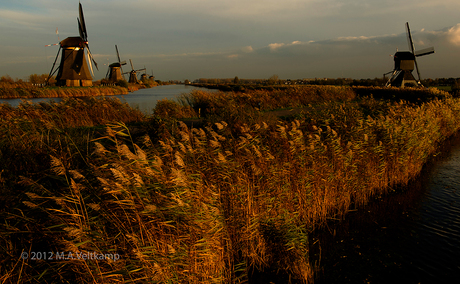 Kinderdijk.jpg