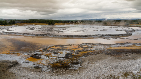 Yellowstone
