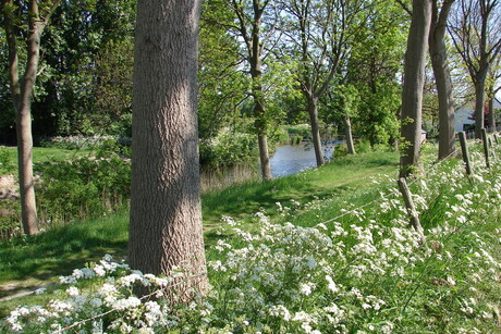 polder op z'n mooist