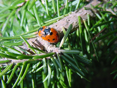 De lente is begonnen!!!