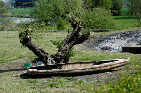 lang de dijk