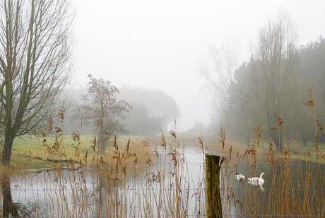 Natuurpark Lelystad