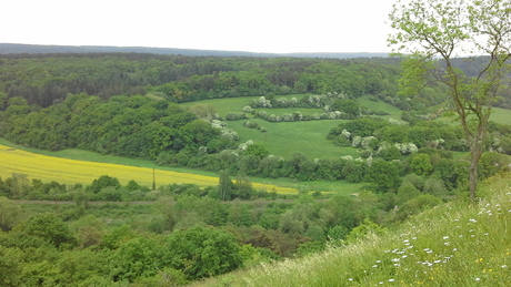 Landschap Viroinval Ardennen