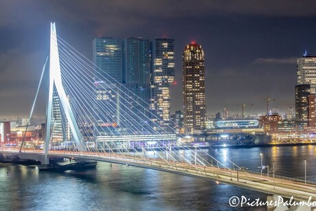 I love you.....Rotterdam