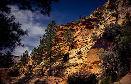 Zion UT, USA