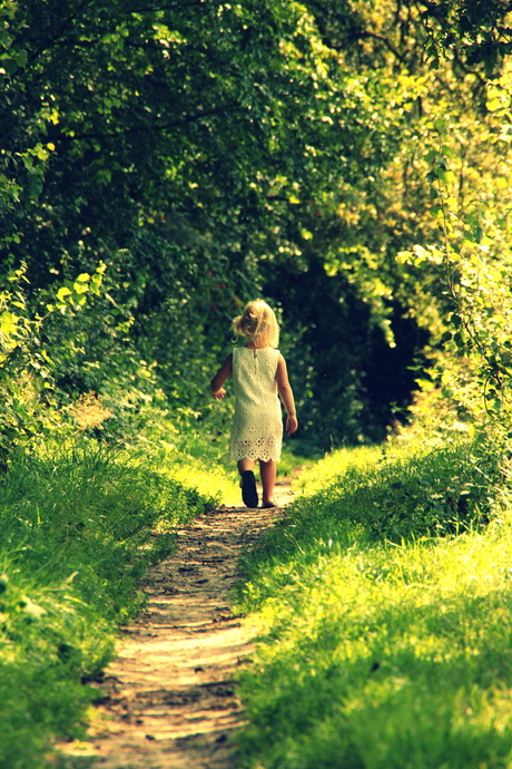 Wandelen in het bos