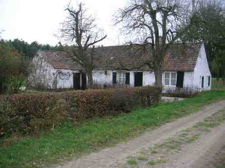 Oud huis verscholen achter bomen