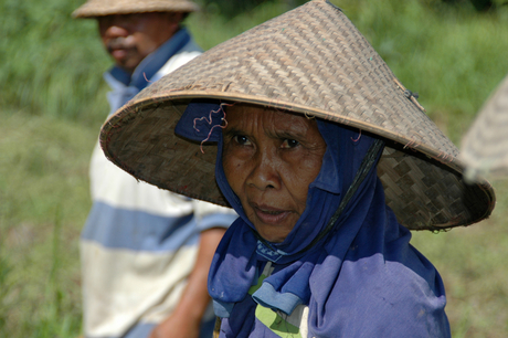 Balinese vrouw